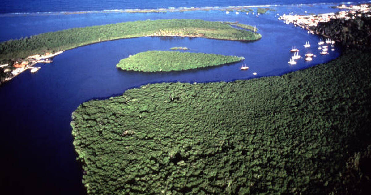 Atlantic Trade and Coastal Nations - Trasatlantica