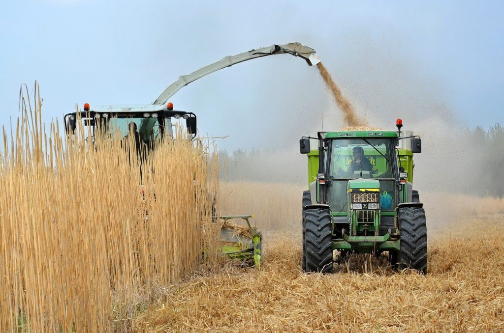 Brazil's Investment in Bioethanol Energy